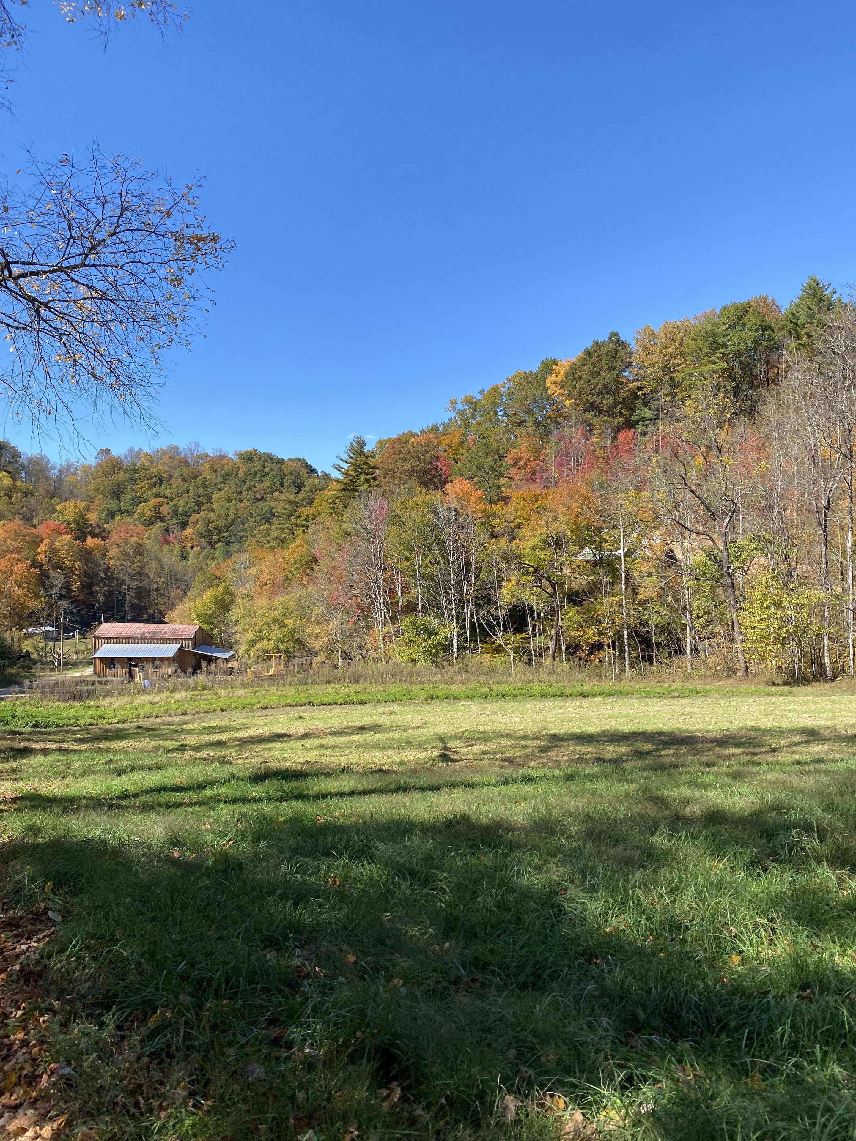A rural landscape with a wooden cabin, open fields, and a forested hill.