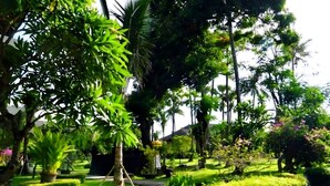 Ảnh chưa phân loại, 4 trong số 25 ảnh, nút