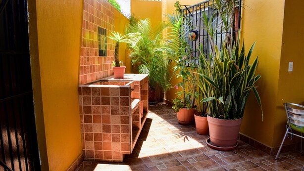 Un pequeño patio interior con suelo de baldosas, plantas en macetas y una verja de metal.