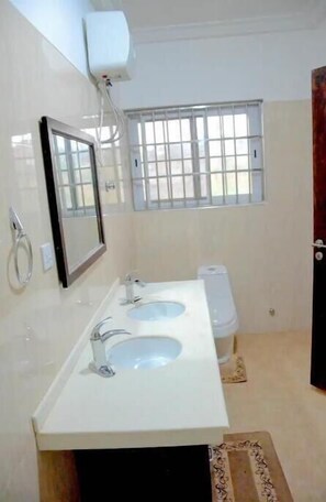 Hair dryer, soap, shampoo, toilet paper