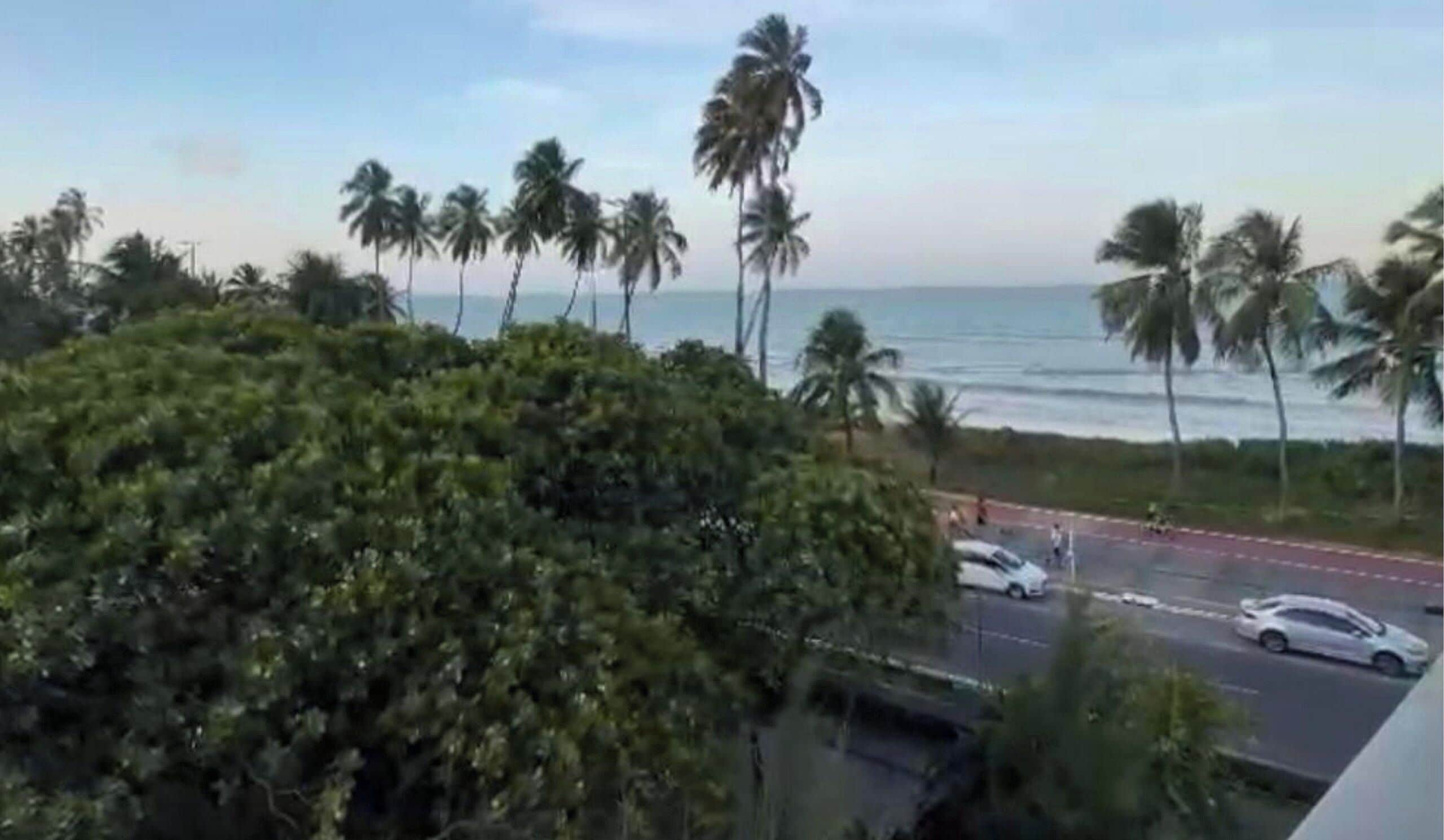 A view of a coastal road with palm trees and a beach in the background.