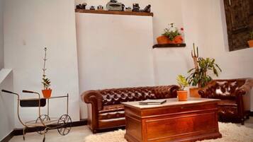 A living room with a brown leather sofa, a wooden coffee table, a fluffy rug, a metal chair, and potted plants.