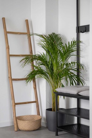 Interior - Exclusive Villa Dream mit Pool Nahe Labin (Labin)