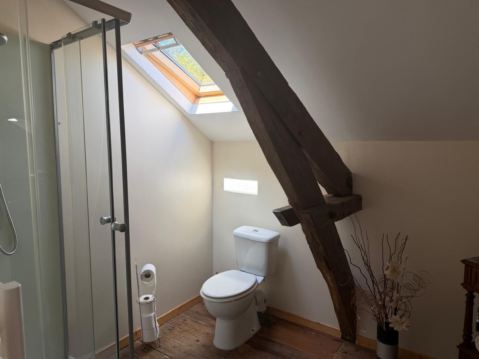 Un baño con tragaluz, ducha y retrete.