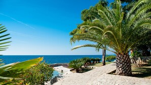 Un sentier pavé mène à une plage bordée de palmiers, sous un ciel bleu et dégagé.