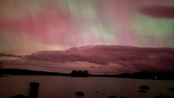 A night sky with the aurora borealis over a body of water with a silhouette of trees and rocks in the foreground.