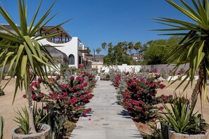 Property grounds - Suite 1: Exquisite Luxury by the Sea (Los Barriles)