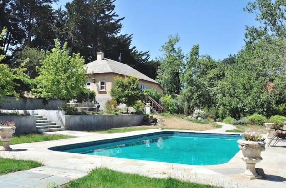 Imagen de perfil del propietario o de la propietaria