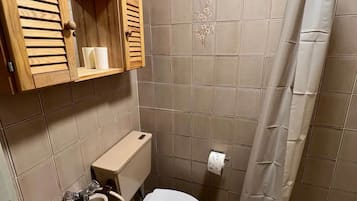 Apartment, 1 Double Bed | Bathroom | Shower, hair dryer, towels