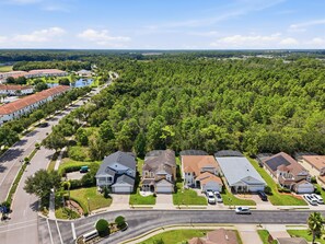 A residential area with houses, a road, and a forested background.