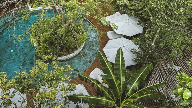 Een zwembad omringd door weelderige groene beplanting en witte parasols.