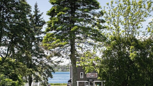 On voit un bâtiment sur lequel est apposée une enseigne indiquant « Diego’s », avec un lac en arrière-plan.