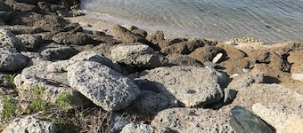 Waterfront 2-bedroom SF house at the NC coast. Pet friendly w/ views of sound.