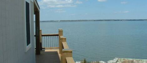 テラス / パティオ