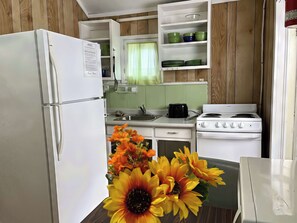 Fridge, stovetop, cookware/dishes/utensils