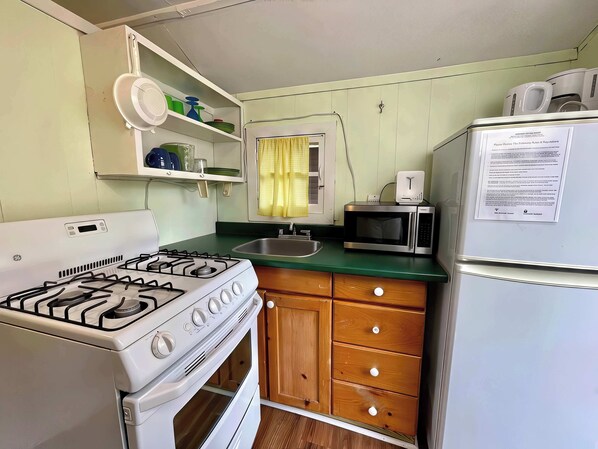 Frigorífico, microondas, placa de cocina y cafetera o tetera