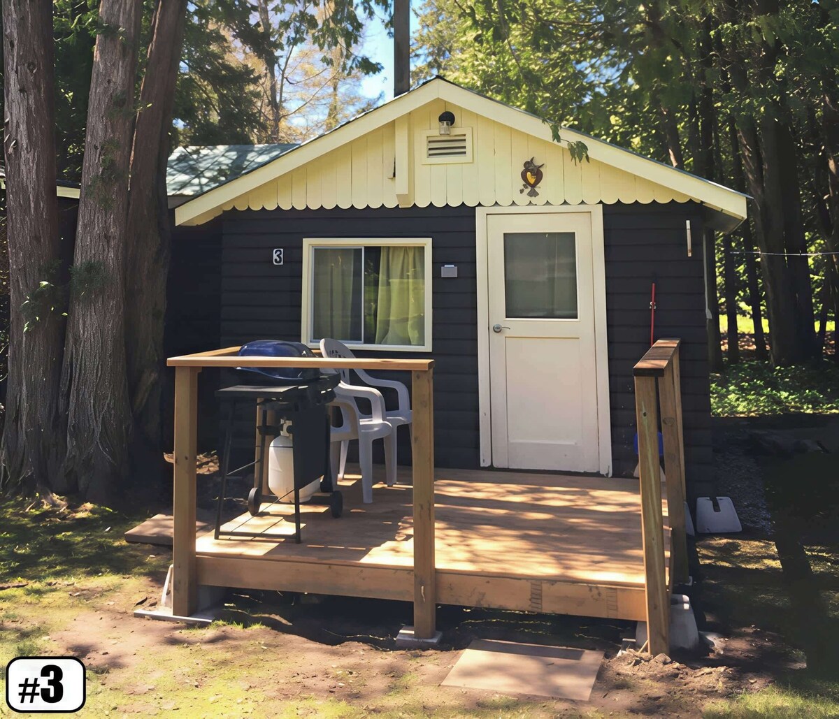 Imagem do perfil do anfitrião