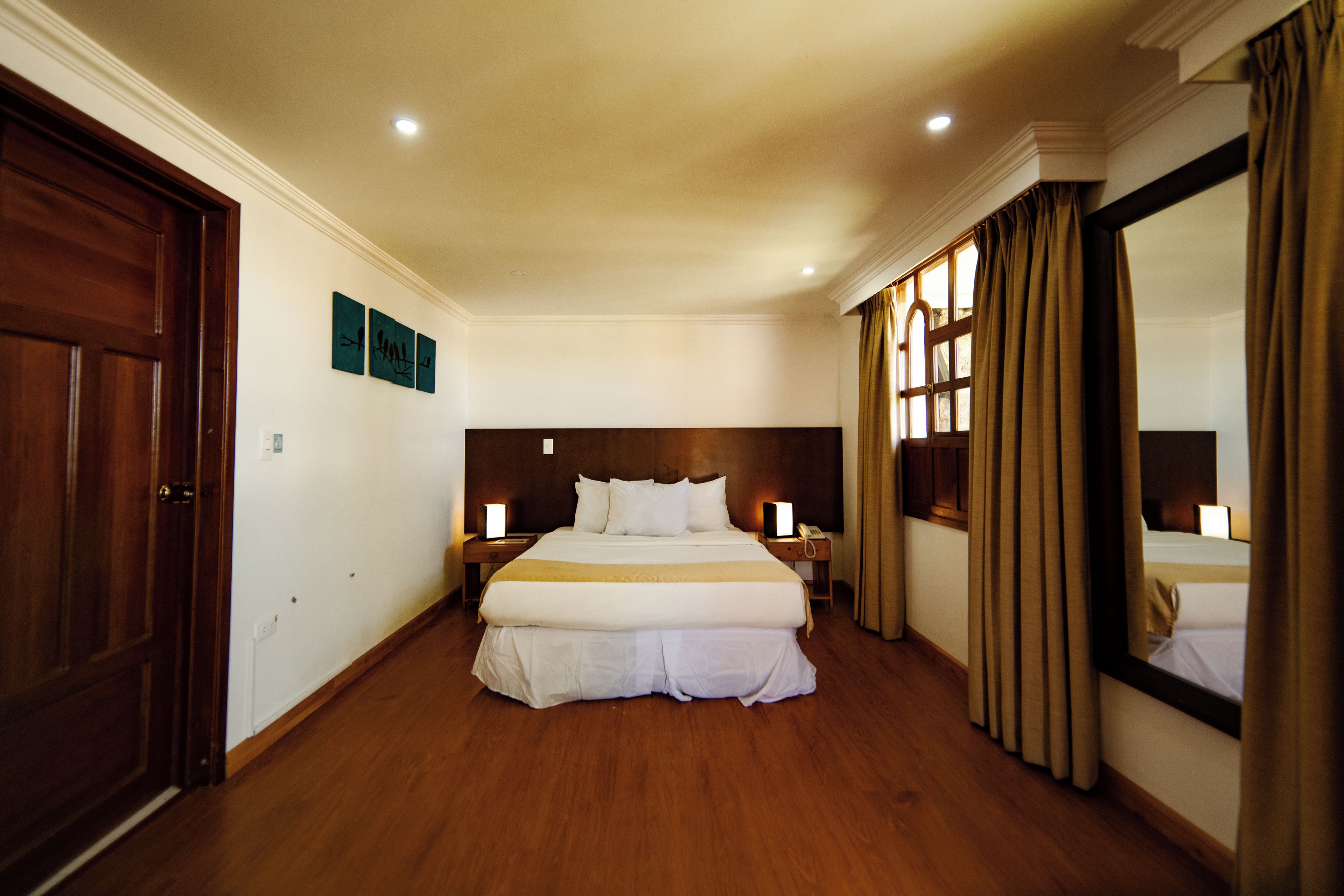 A hotel room with a large bed, a bedside table with a lamp, a mirror, and a door.