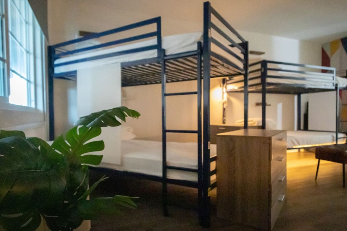 A bunk bed room with a wooden desk and a potted plant.