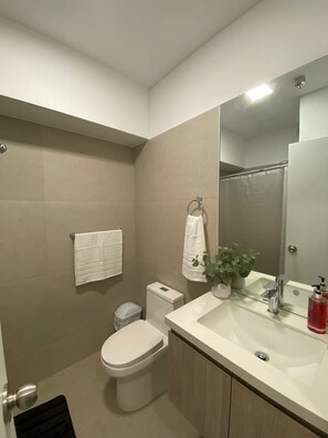 Asciugacapelli, asciugamani, sapone, shampoo