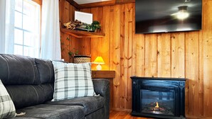 Smart TV, fireplace, DVD player, books