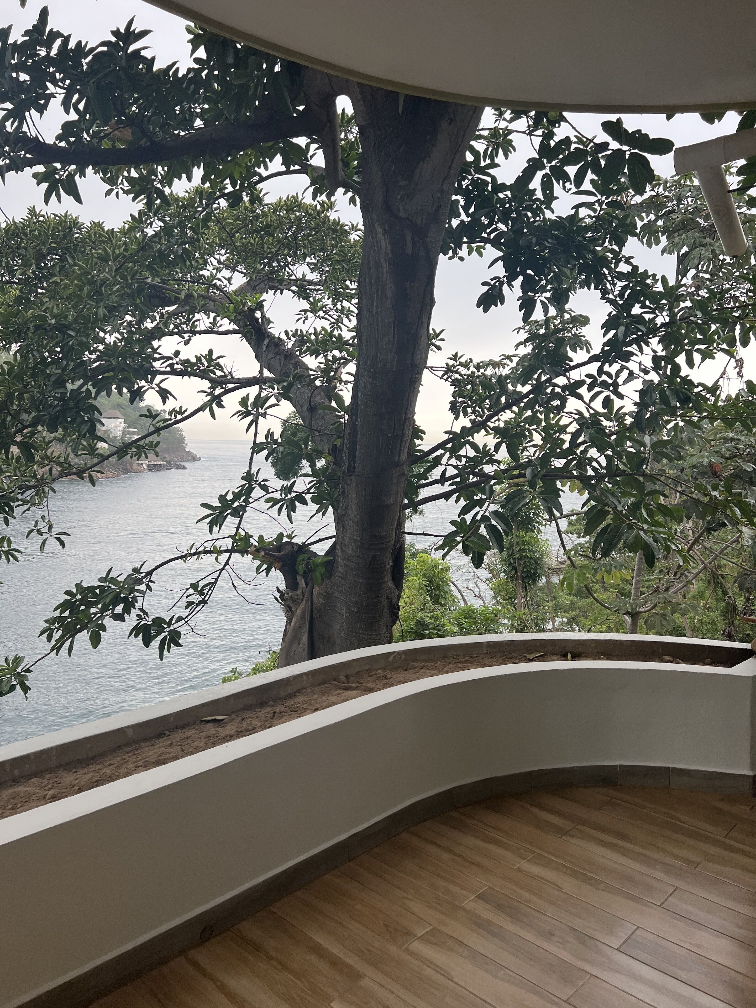 Habitación con pared blanca curva, suelo de madera y vista a un árbol y un cuerpo de agua.