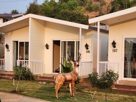 Iron/ironing board, free WiFi