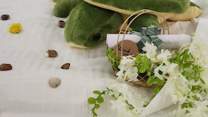 A plush toy, a basket with a tag, and scattered stones on a white surface. - Casa De Turtle  (Shrivardhan)