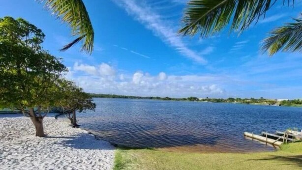 A beach with a sandy shore, a palm tree, and a calm body of water under a clear sky. - Casa Familia 4 Quartos Condominio Aguas DE Sauipe (Subaúma Entre Rios)