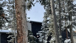 Un espacio exterior cubierto de nieve con una terraza de madera que lleva a un edificio.