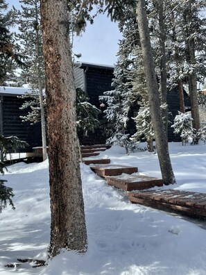 Property grounds - Upscale Rustic Mountain House in Alma. 20 min from Breckenridge -SUPERHOST! (Alma)