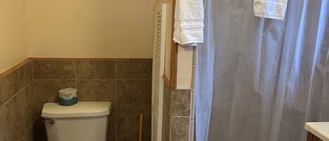 Asciugamani, sapone, carta igienica