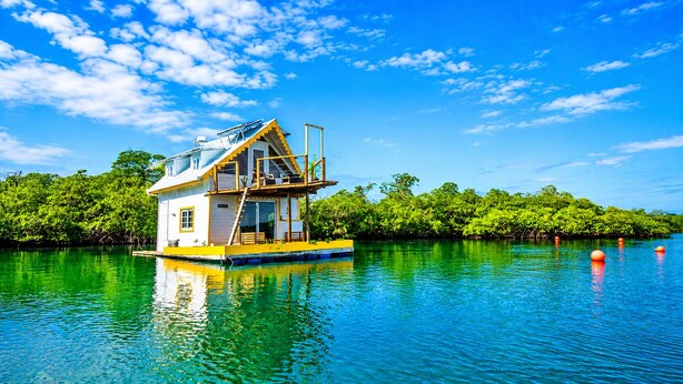 A floating houseboat with a deck and a ladder, surrounded by calm water and greenery. - The Sea Spot! Hip-Nautic Floating Lodge (Bocas del Toro)