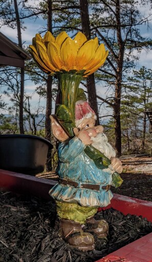 Exterior detail - Gnome - Firepit, Pickleball, Fireplace, Mountain Views, Grill, Large Chess set (Sevierville)