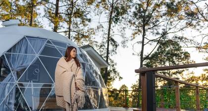 Luxury Geodesic Eco-Dome in Nature: Glamping in Tiny Pines - Terra Dome