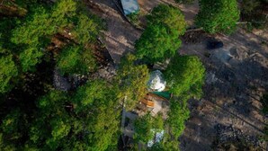 An aerial view of a forested area with several buildings, including a house with a green roof and a circular structure, possibly a gazebo or well.