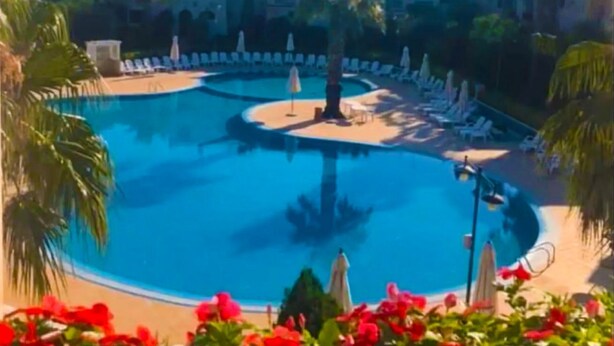 Un espace piscine agrémenté de chaises longues et de parasols, entouré de palmiers et de fleurs.