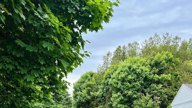 Uklassifisert bilde, 1 av 27, knapp