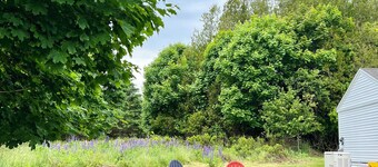 Downtown 3-Bedroom Home in Walkable Harborside Village