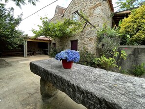 Terrace/patio - Casa Velha - Santiago Family House (Sever do Vouga)