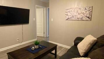 TV connectée, cheminée, livres, médiathÚque