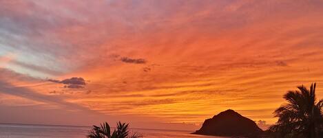 Sun loungers, beach towels