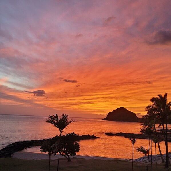 Experience the serene beauty of a tropical paradise with a stunning coastal landscape.
