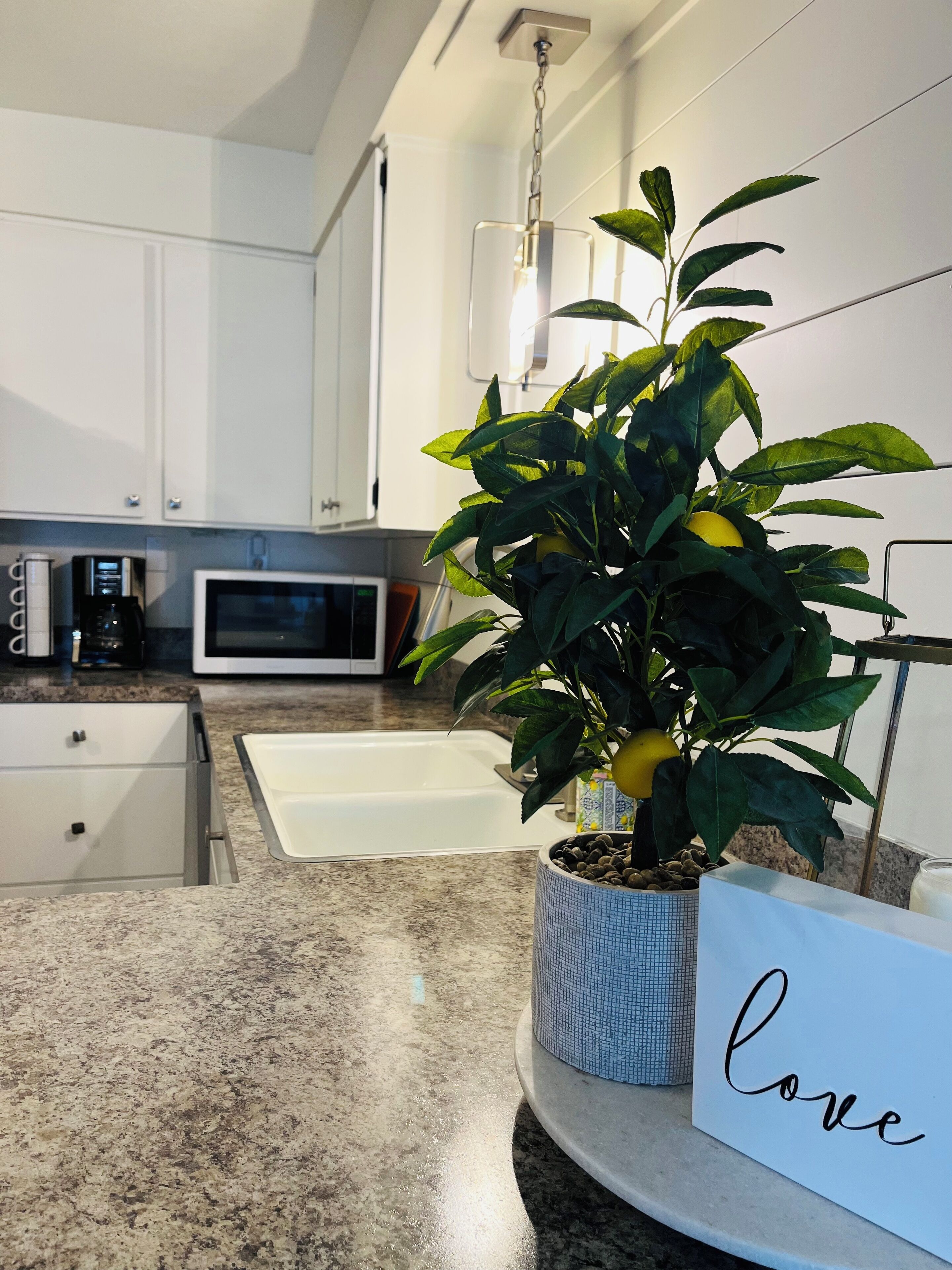 A modern kitchen with white cabinets, a granite countertop, a coffee maker, a microwave, and a potted lemon tree.