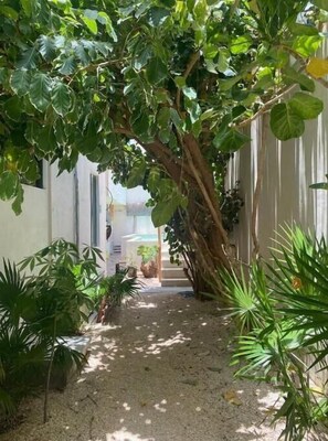 Overnattingsstedets uteområder