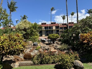 Property grounds - What a deal! Walk to the beach from this gorgeous 1 BR/2BA condo w/AC. Sleeps 4 (Kihei)