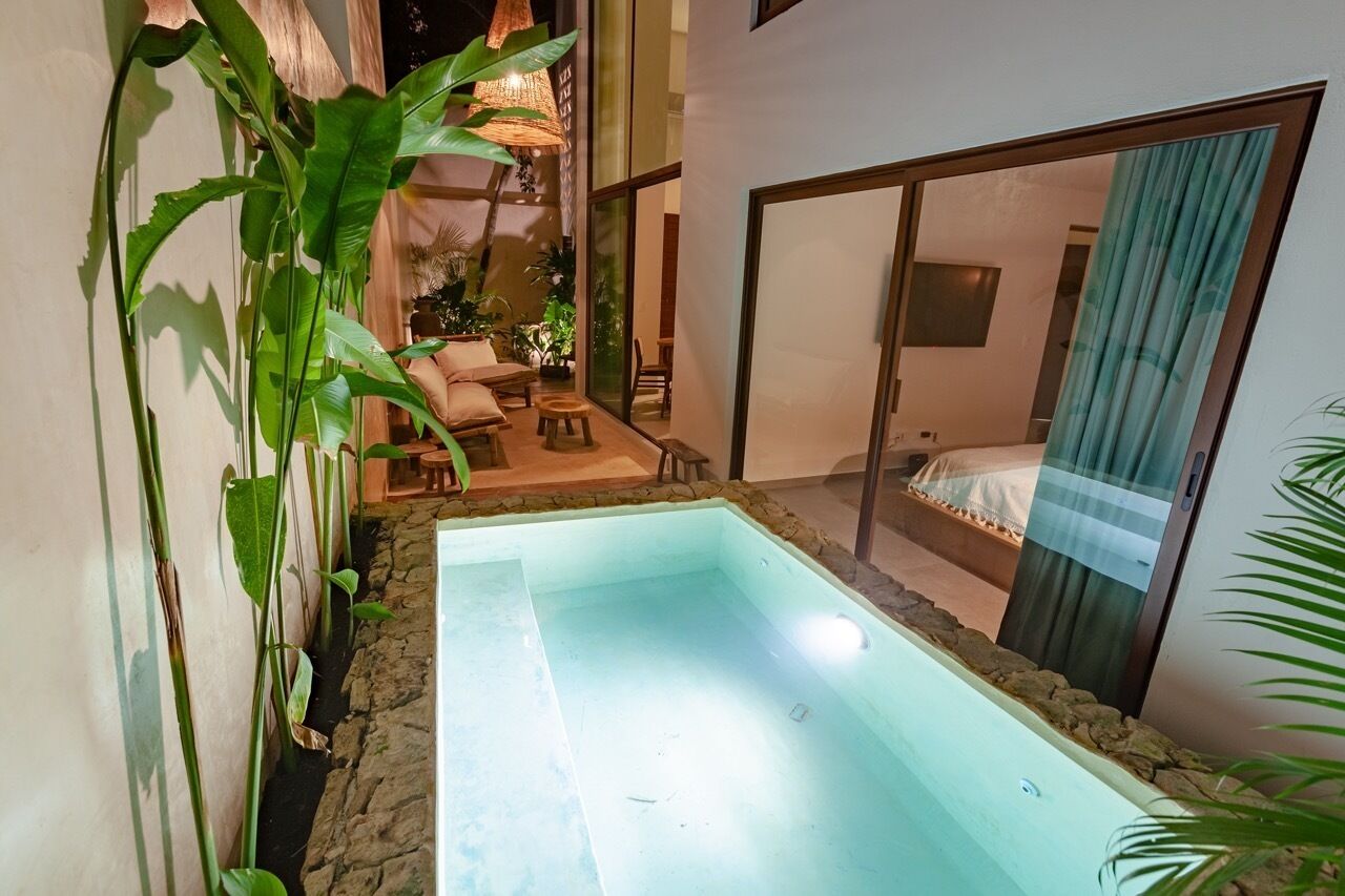 Une piscine bordée de pierres, entourée de grandes plantes vertes. Une porte vitrée donne accès à une chambre à coucher qui contient un lit et une fenêtre.