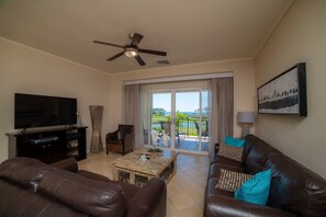 Televisor, llar de foc i estèreo 