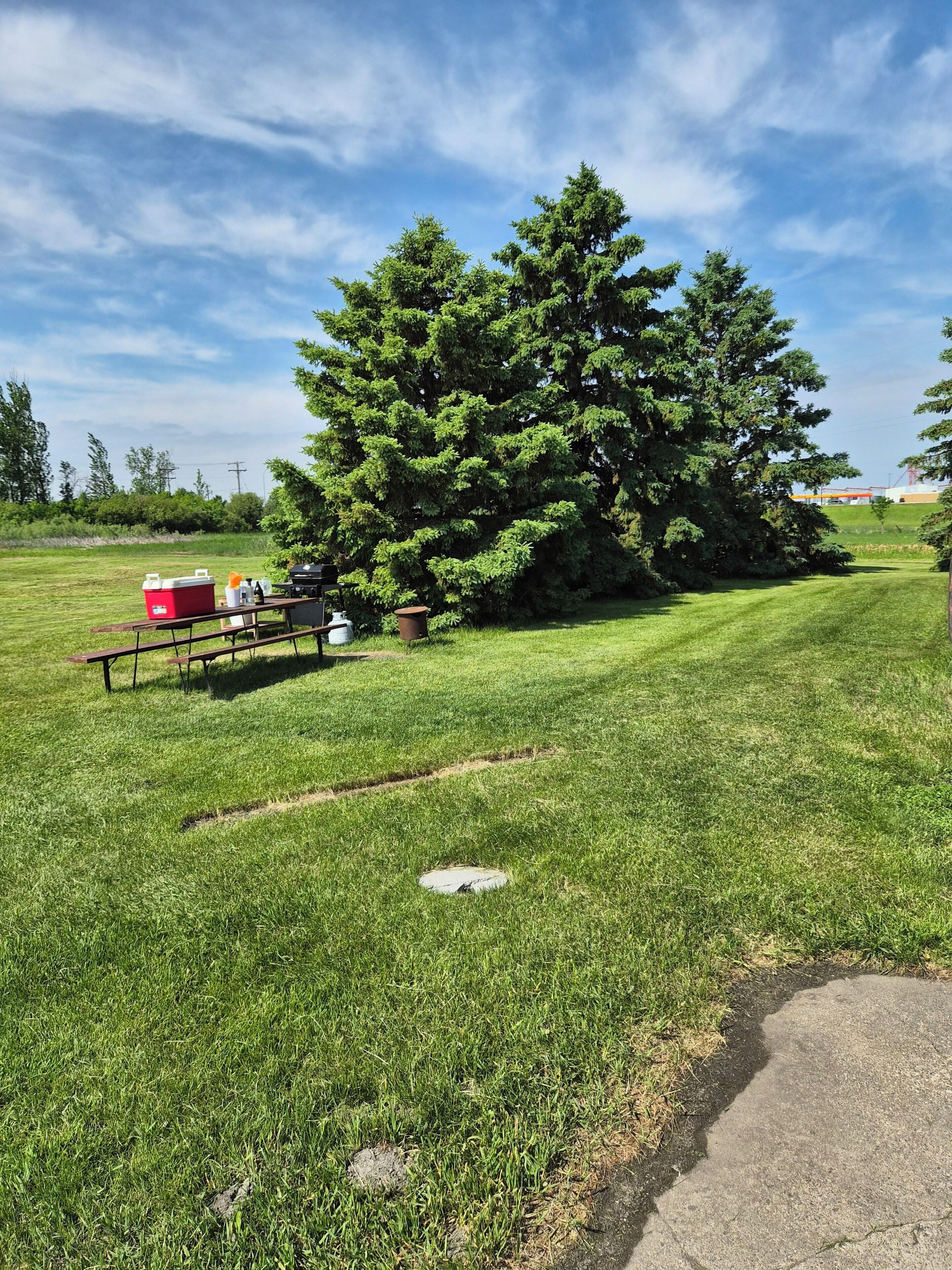 A picnic area with a table, cooler, and grill, surrounded by grass and trees.