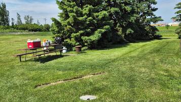 A picnic area with a table, cooler, and grill, surrounded by grass and trees.